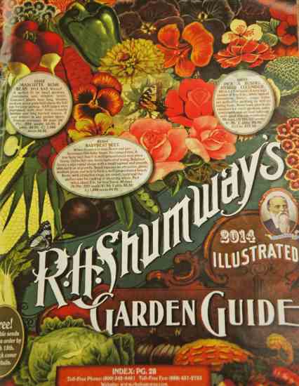 
When holding the 2014 catalog from R.H. Shumway's, you may feel as though you've been transported to a different time. The catalog is the largest one we received, and with its intricate botanical illustrations and old-fashioned text, it feels like a fancy newspaper from a bygone era. The design of R.H. Shumway's 2014 catalog, as well as the varieties offered within, pay homage to the old-fashioned values of heirloom gardening. Money saving tip: If you place an order with R.H. Shumway's before March 15, 2014 you will receive one packet each of spinach and beans. Learn more at www.RHShumway.com. 
